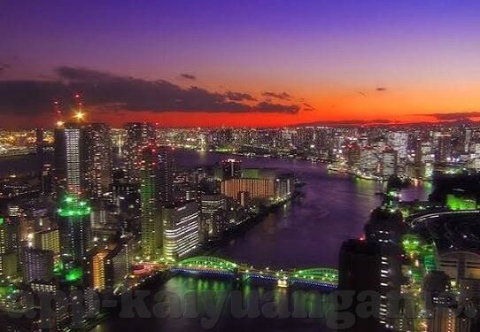 韩国世界杯情况-韩国世界杯，激情与荣耀的交响曲